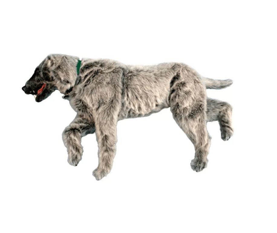 Emily K9 Positionierungspuppe - Erler - Zimmer